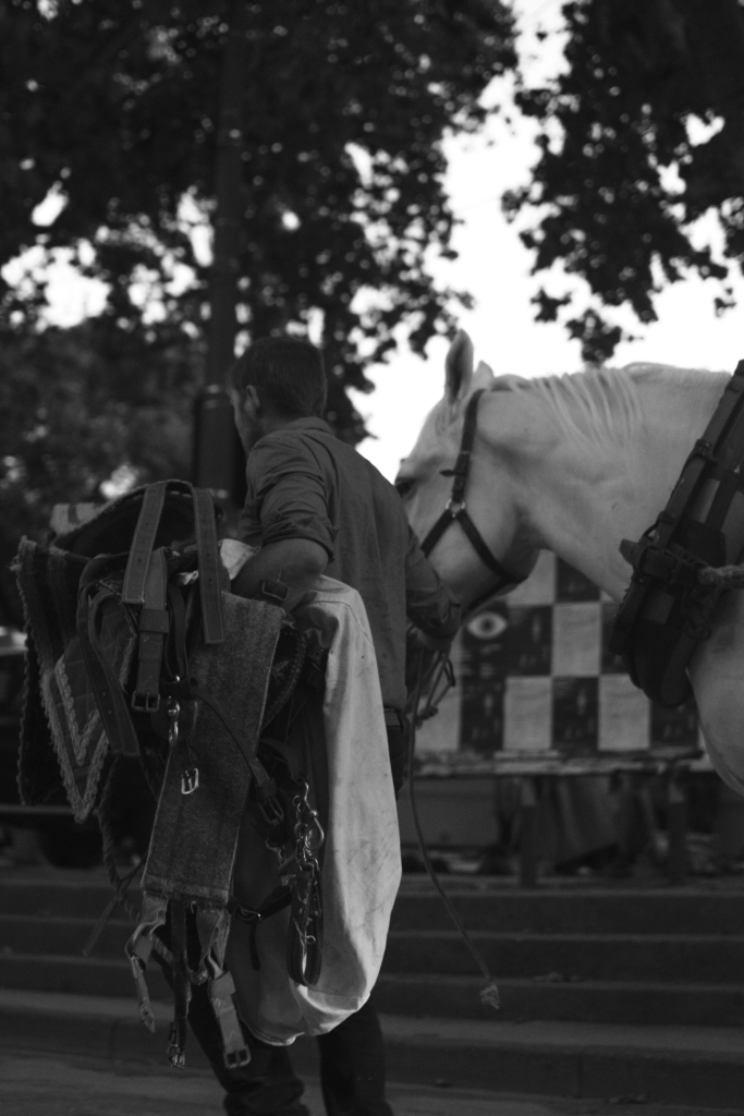 Feria du Riz,&nbsp;Arles